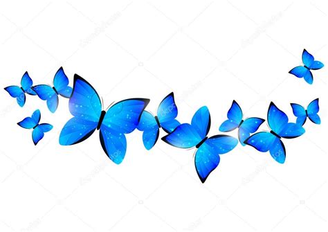 frontera de mariposas azules — Vector de stock © Huhli13 ...