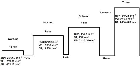 Frontiers | Exercise economy in skiing and running ...