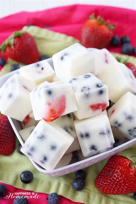 Frozen Yogurt Berry Bites Recipe   Happiness is Homemade