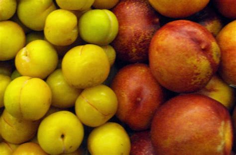 Frutas con hueso: cinco opciones muy saludables | EROSKI ...