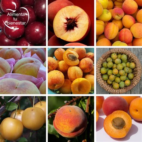 Frutas para junio: albaricoques, melocotón y ciruelas