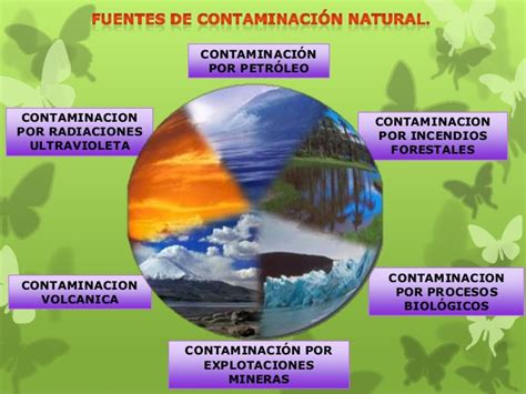 Fuentes de contaminacion natural, antropogenicas ...