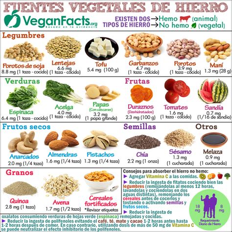 Fuentes de hierro en la dieta vegana y vegetariana ...