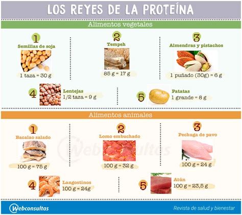 Fuentes de proteínas: alimentos animales y vegetales que ...