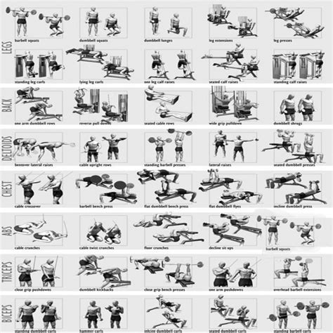 Full Body Workout Plan   Healthy Fitness Training Routine ...