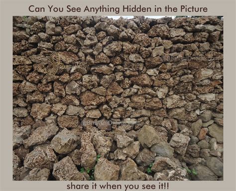Fun Picture Riddle: Can You Find Anything Hidden in This ...