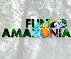 Fundo financiará monitoramento da Amazônia em países da ...
