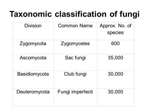 Fungi Fungi are eukaryotic, spore bearing organisms with ...