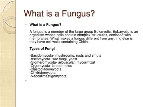 Fungi – body structure and life cycle