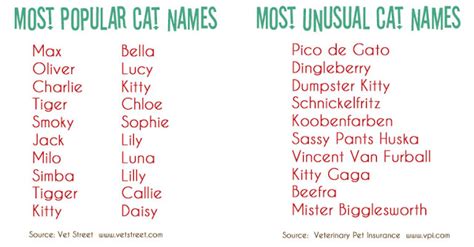 Funny Boy Cat Names 6 Cool Wallpaper   Funnypicture.org