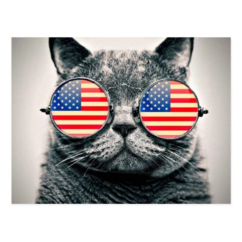 Funny cat USA flag glasses Independence day photo Postcard ...