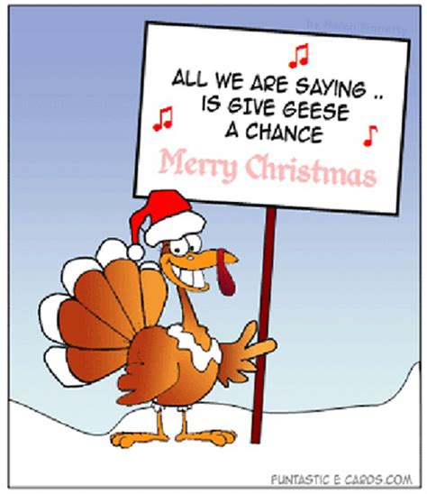 funny christmas pictures, funny christmas turkey   Dump A Day