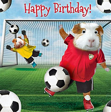 Funny Guinea Pig Football Birthday Card Goal Nets 3D ...