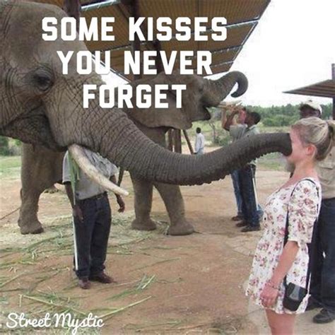 funny kisses pictures   Funny Lover