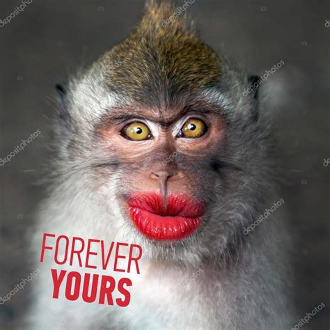 Funny monkey with a red lips — Stock Photo #69190293