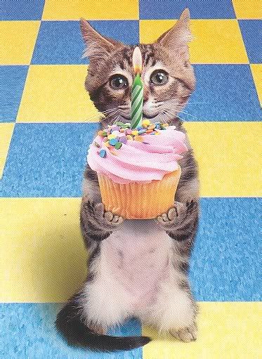 funny pictures: funny animal birthday pictures
