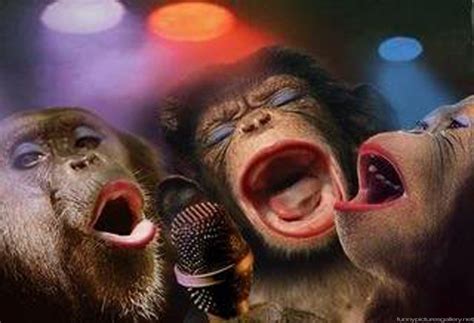 Funny Pictures of Monkeys Cute Girl Band | Funny ...