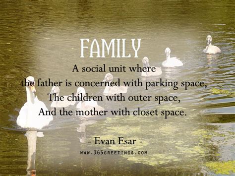Funny Quotes On Family | Funny Quotes