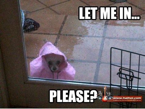 Funny Rainy Day | home Videos Galleries Pictures SMS Jokes ...