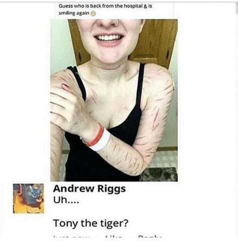 Funny Tiger Memes of 2017 on SIZZLE | 9gag