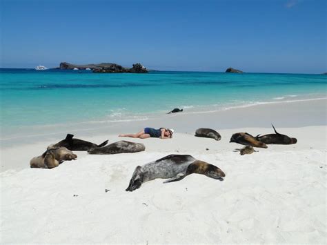 Galapagos Islands Attractive Places for Tourism   Gets Ready