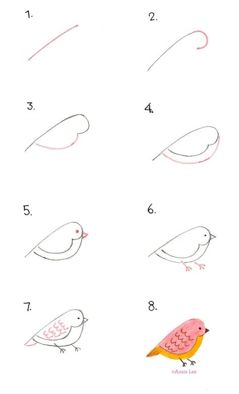 Gallery: Pencil Drawing Birds Tutorial,   Drawings Art Gallery