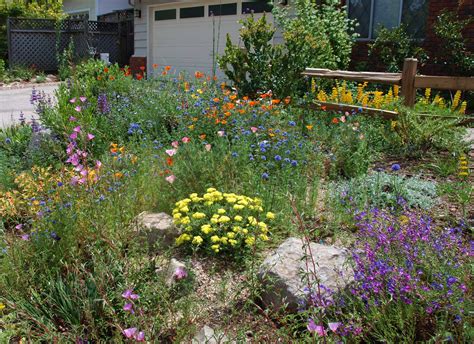 Garden Design – California Native Plant Society Blog