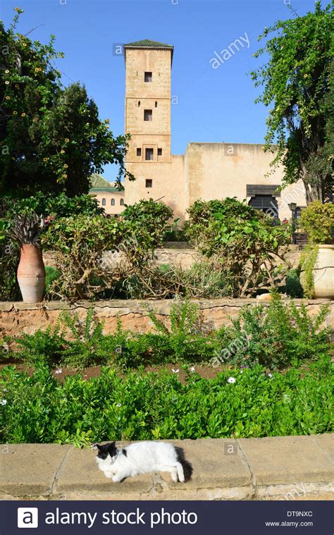 Garden in Kasbah of the Udayas  Qasbah des Oudaya , Rabat ...