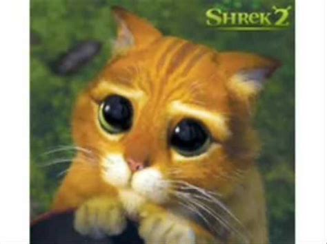 Gato Shrek MONO¡   YouTube