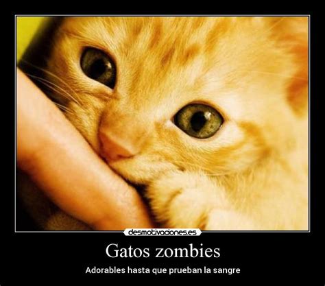 Gatos zombies | Desmotivaciones