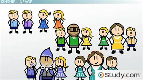 Genealogical Kin Types & Terminology   Video & Lesson ...