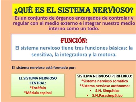 generalidades del sistema nervioso