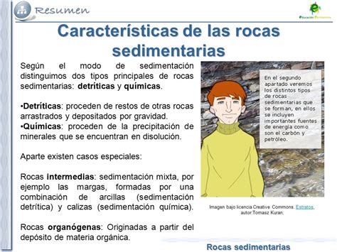 Geodinámica externa: Rocas sedimentarias   ppt descargar