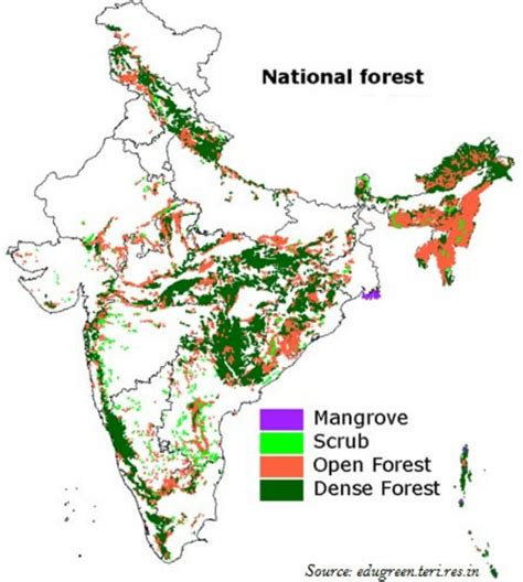 Geography India National Forest