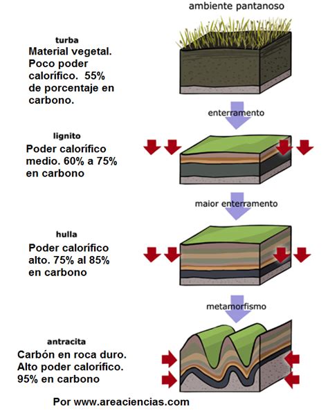 GEOMADRILES: Tipos de carbones