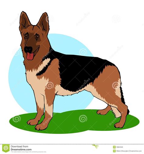 German Shepherd Dog Illustration Stock Illustration ...