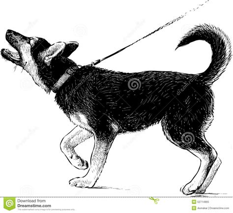 German shepherd puppy stock vector. Image of silhouette ...