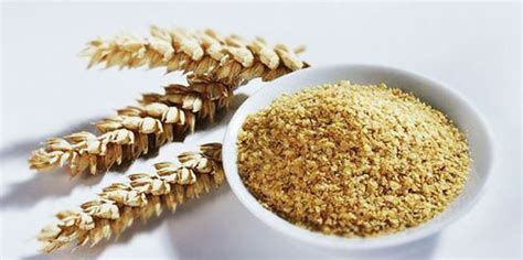 Germen de trigo: contraindicaciones
