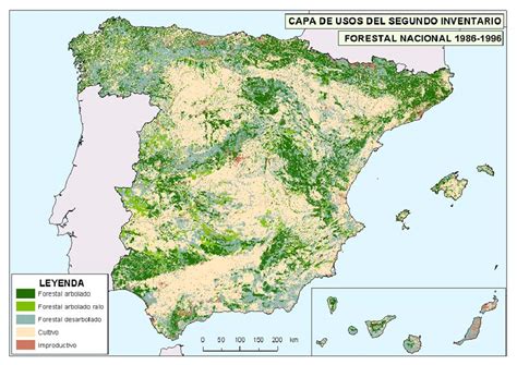 Gestión de Recursos Forestales en España