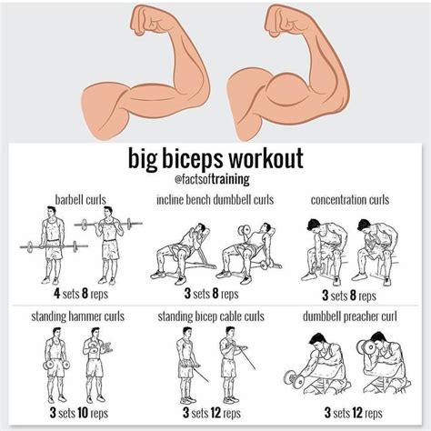 Get Bigger Biceps With These 8 Arm Exercises