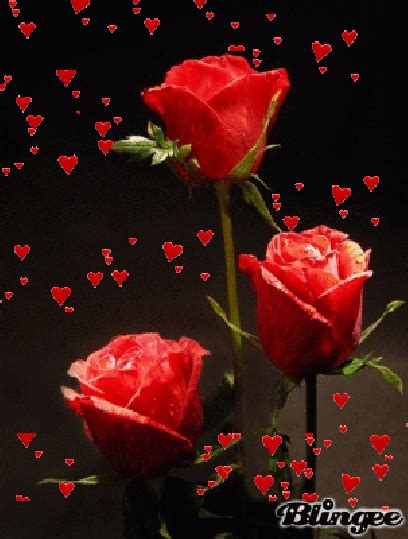 Gif Animados De Amor Con Rosas Rojas Y Corazones
