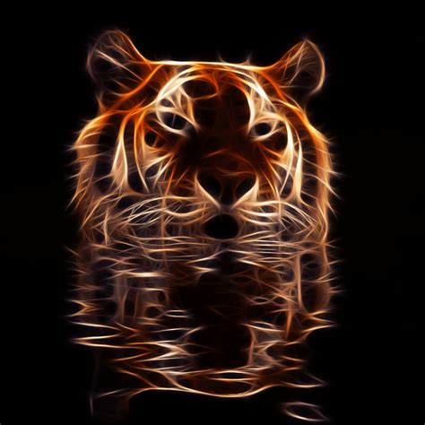 GIFS: 38 Imágenes Animadas de Hermosos Tigres   1000 Gifs