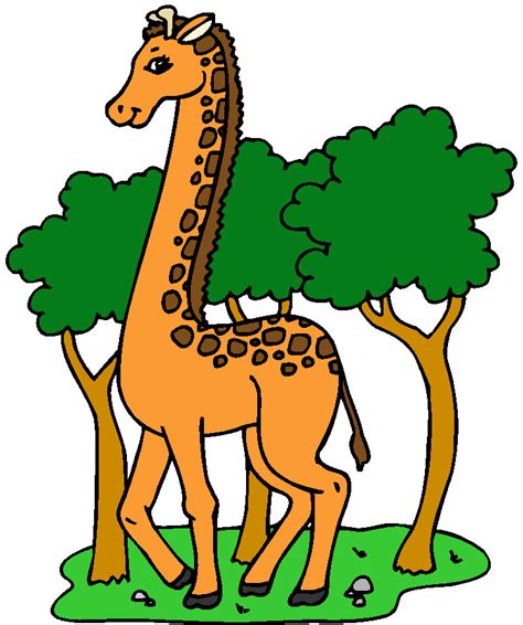 Gifs de animales: Gifs de jirafas