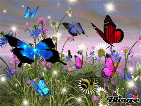 Gifs de animales: Mariposas con movimiento