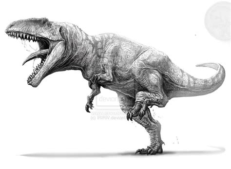 Giganotosaurus Carolinii,el dinosaurio más grande | Los ...