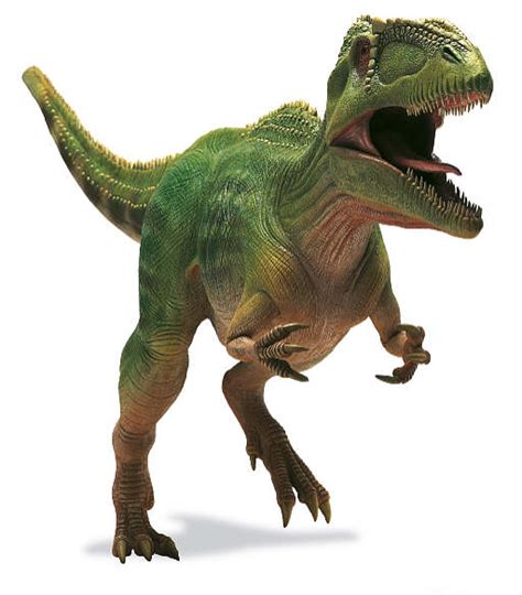 Giganotosaurus vs Carcharodontosaurus vs Mapusaurus vs ...