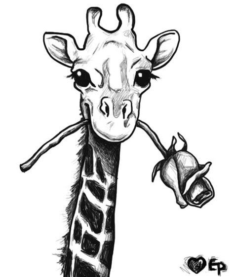 giraffe drawing   Google Search | Ideas for design in 2018 ...