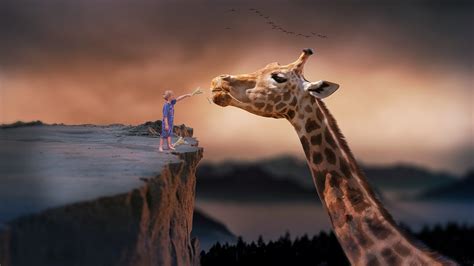 Giraffe Power Supply Child Photo · Free photo on Pixabay