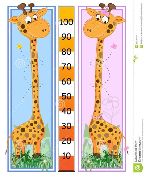 Giraffes Height Scale Royalty Free Stock Images   Image ...