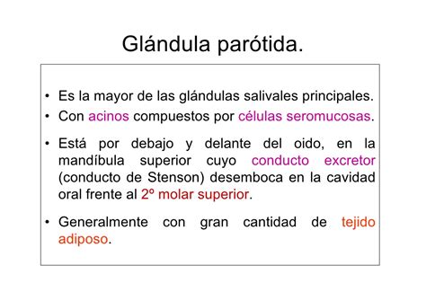 Glandulas